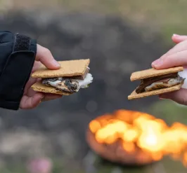 Smores